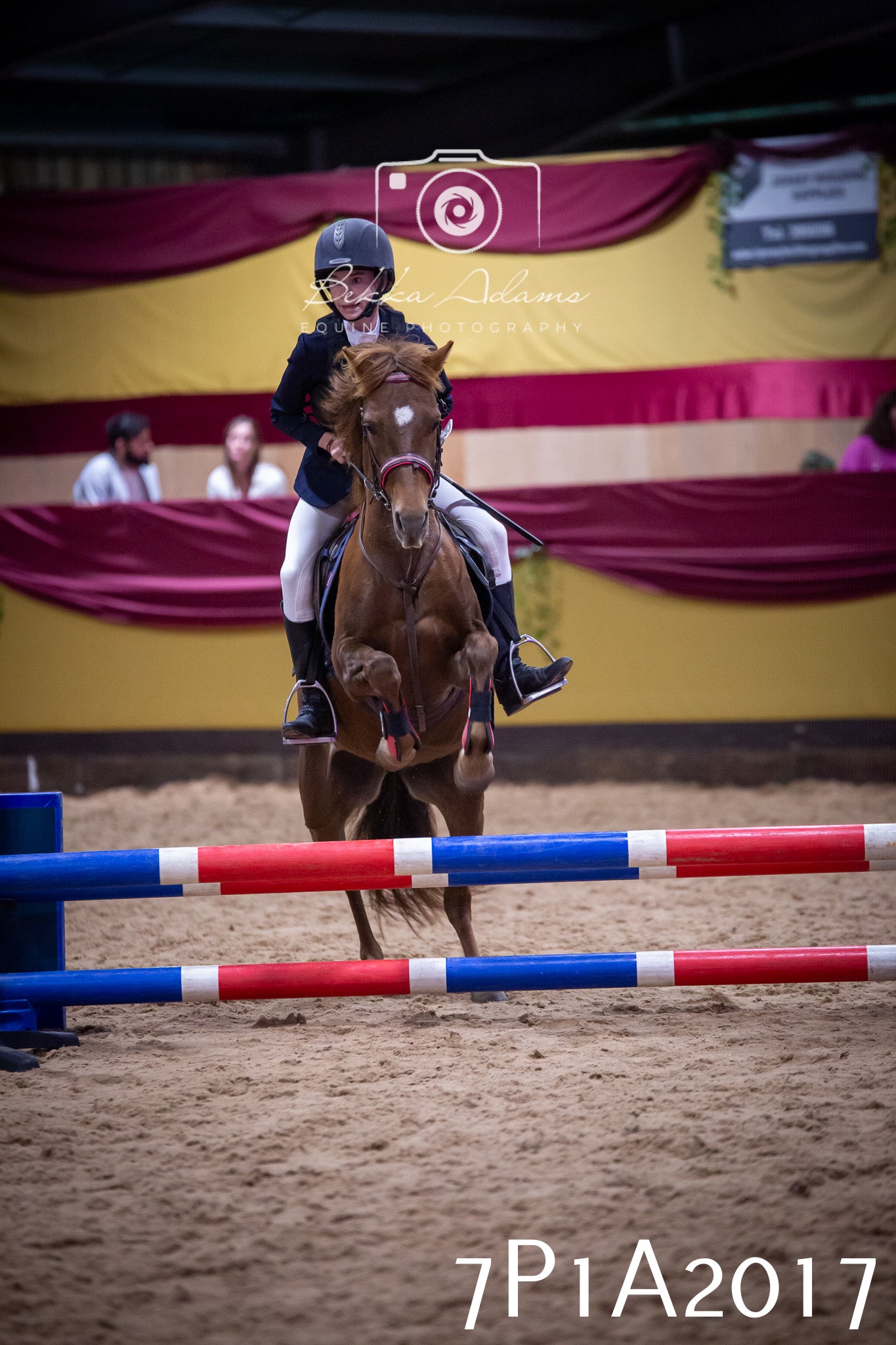 JHOYS 2025 - Show Jumping - 19th September pt2