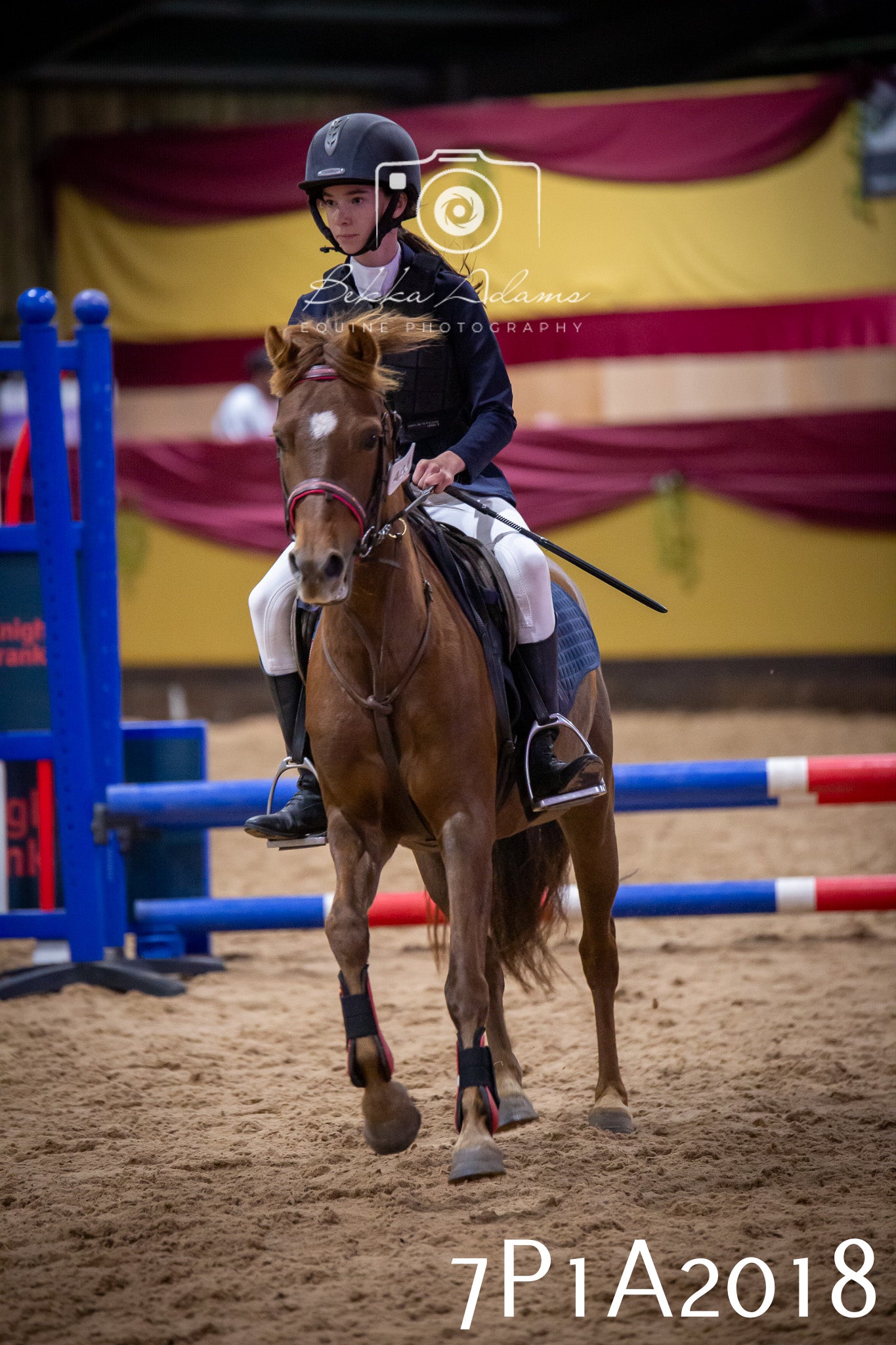 JHOYS 2025 - Show Jumping - 19th September pt2
