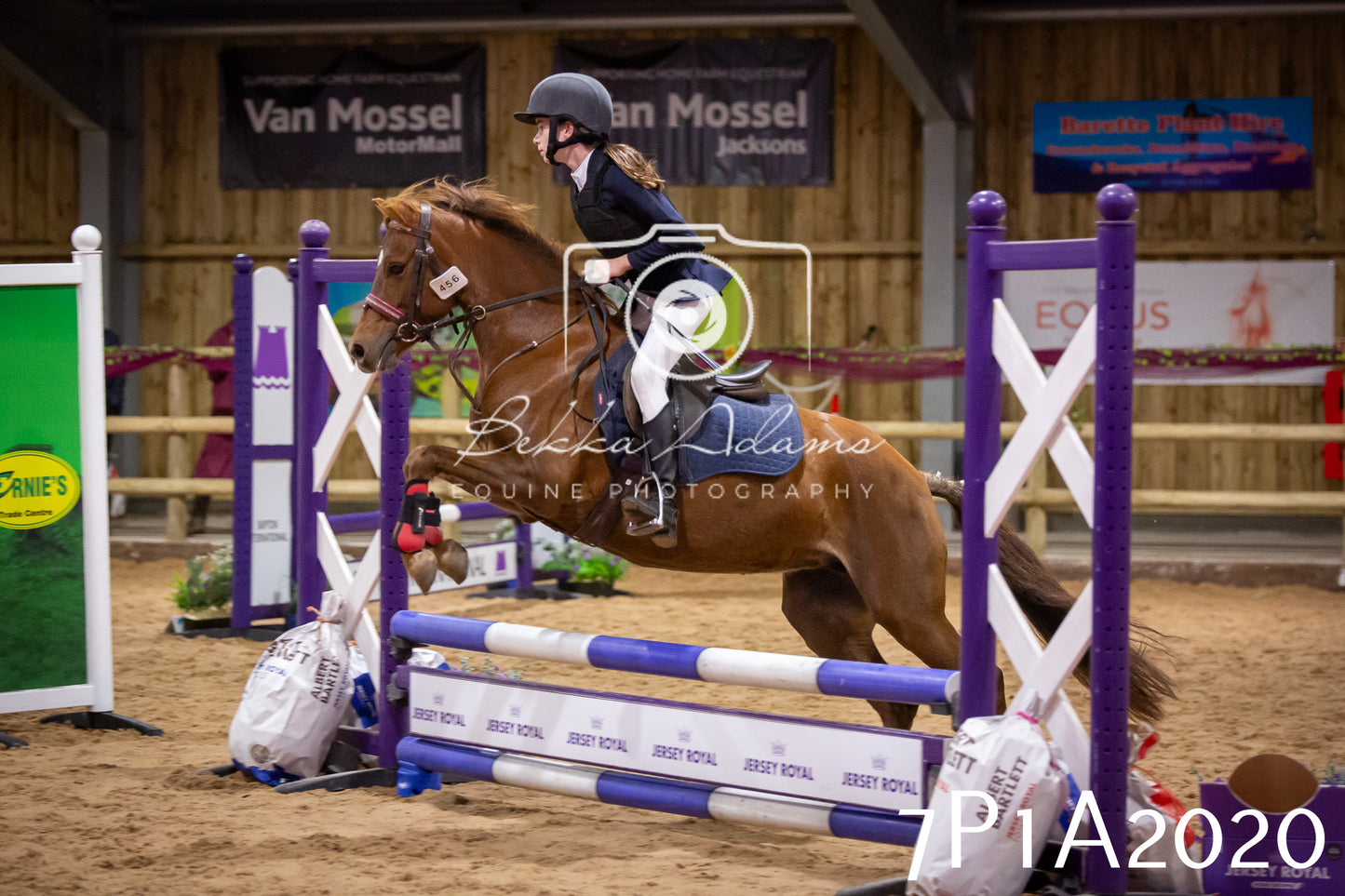 JHOYS 2025 - Show Jumping - 19th September pt2