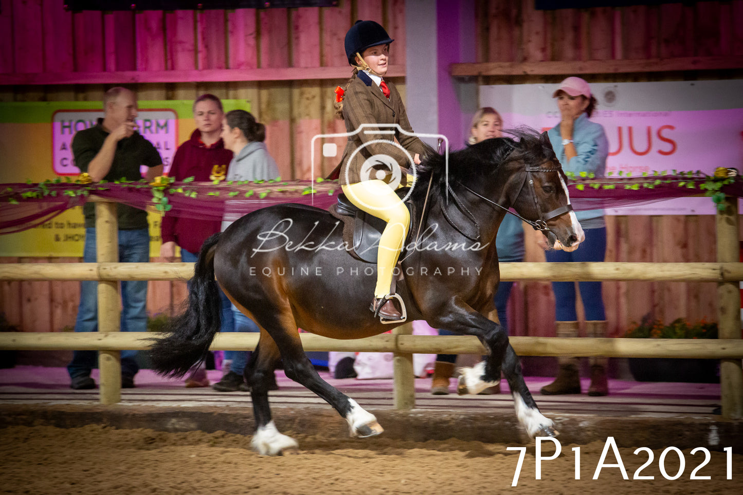 JHOYS 2025 - Ridden Showing - 28th September - pt1