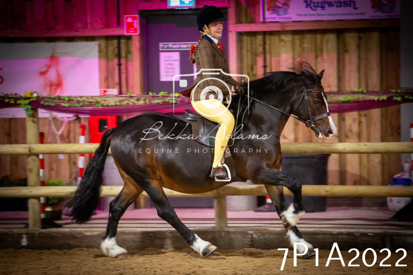 JHOYS 2025 - Ridden Showing - 28th September - pt1