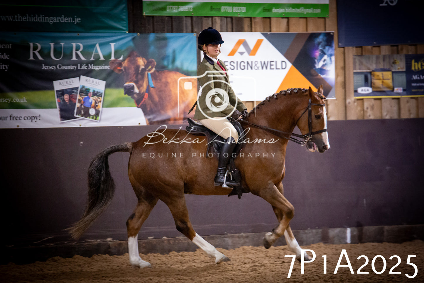JHOYS 2025 - Ridden Showing - 28th September - pt1