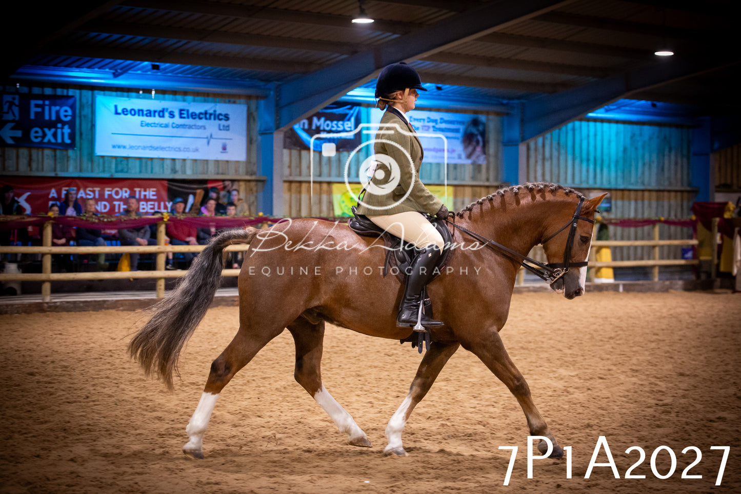 JHOYS 2025 - Ridden Showing - 28th September - pt1