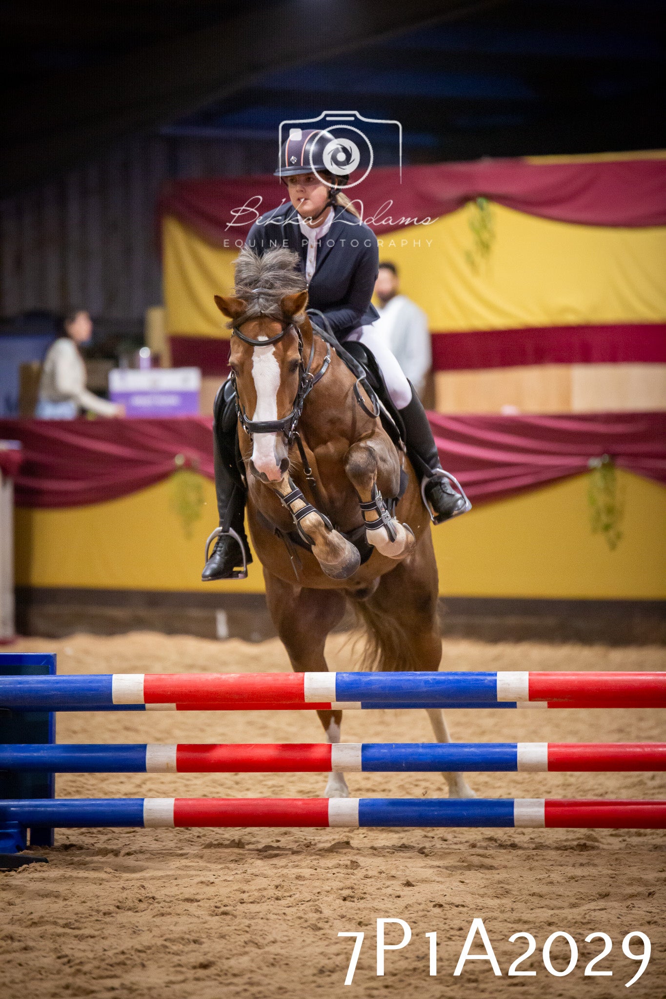 JHOYS 2025 - Show Jumping - 19th September pt2