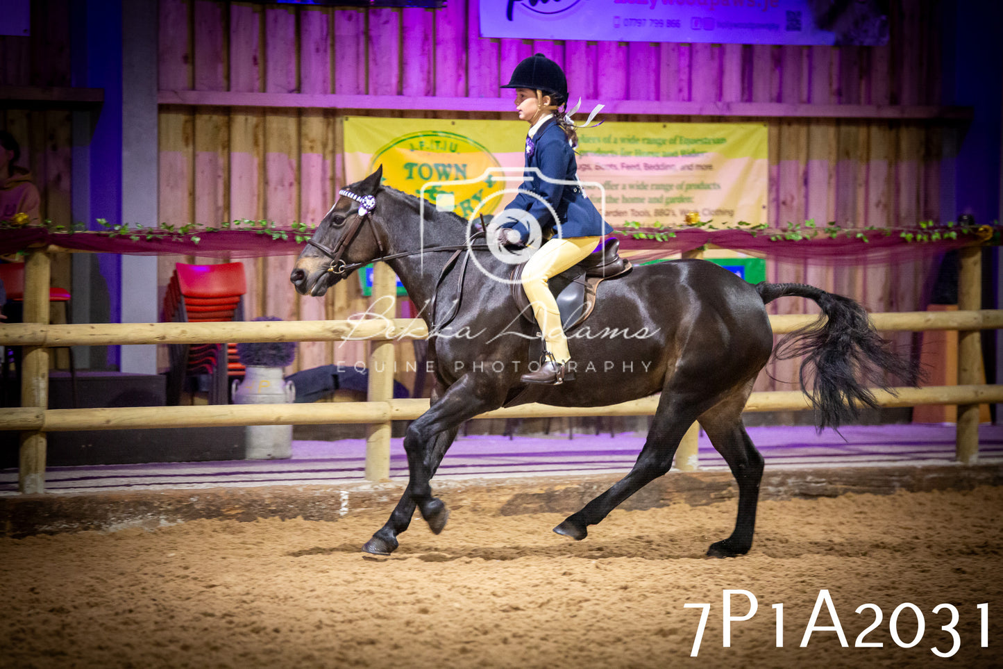 JHOYS 2025 - Ridden Showing - 28th September - pt1