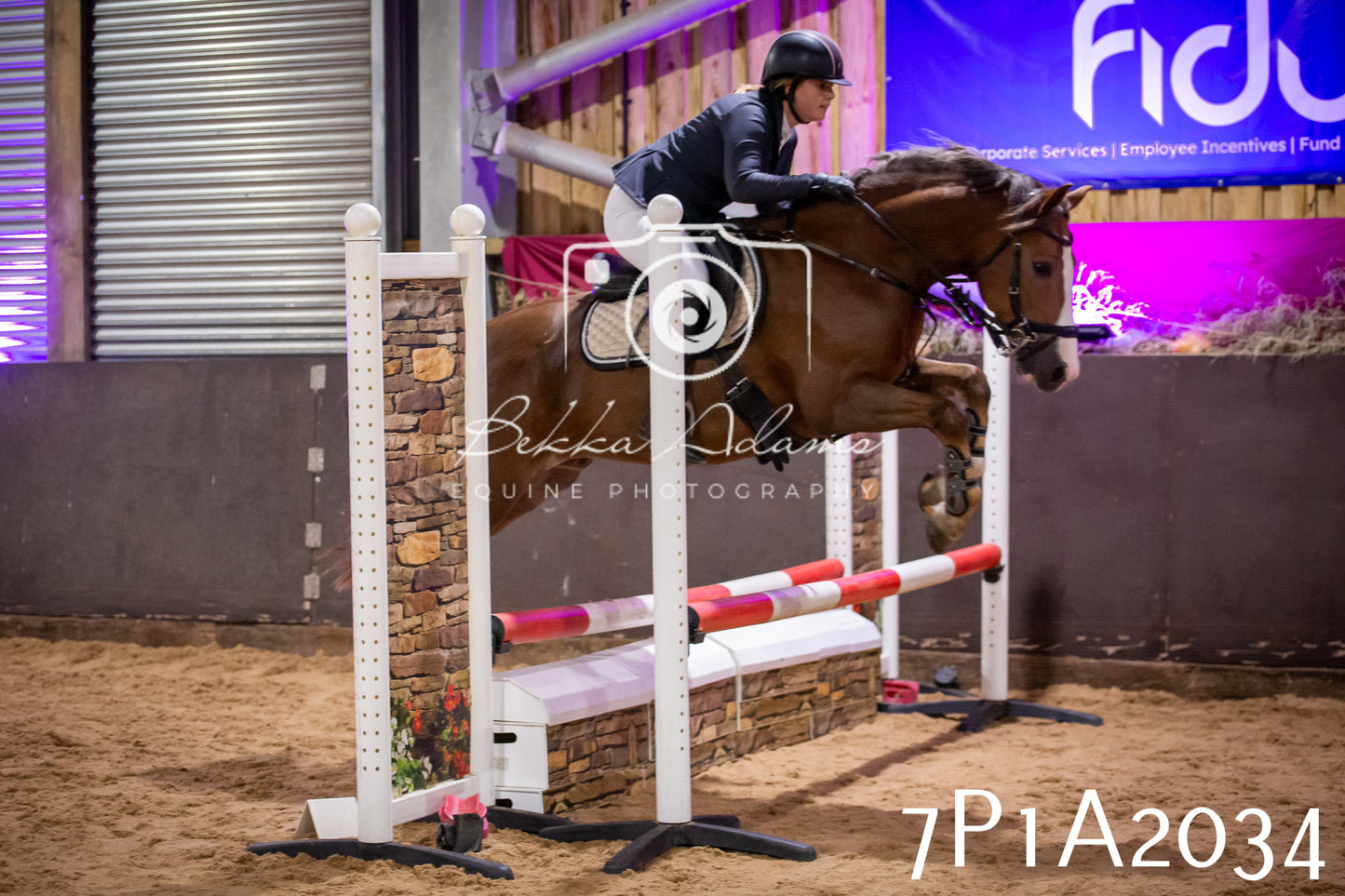 JHOYS 2025 - Show Jumping - 19th September pt2