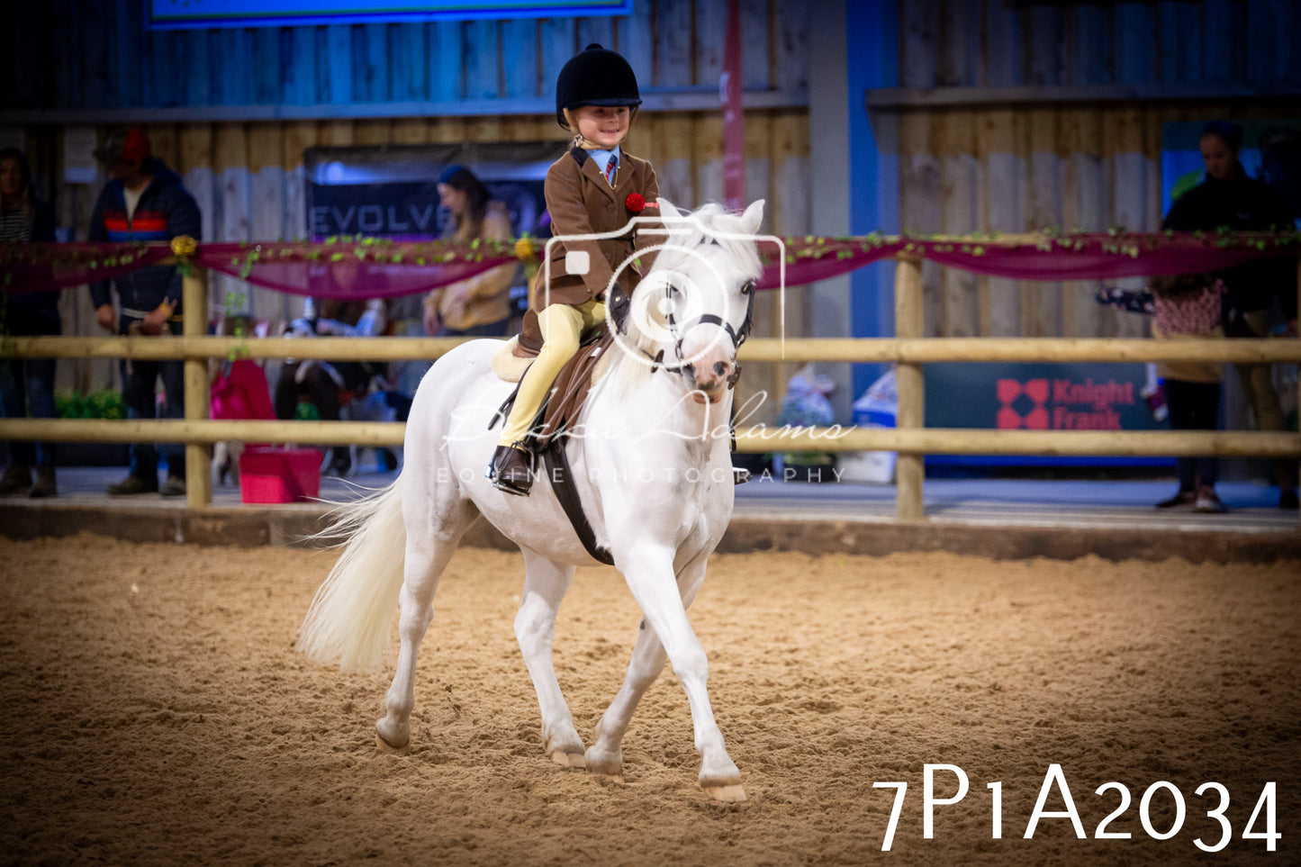 JHOYS 2025 - Ridden Showing - 28th September - pt1