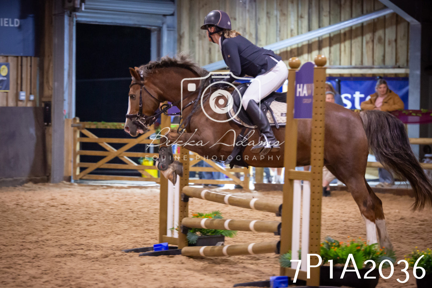 JHOYS 2025 - Show Jumping - 19th September pt2