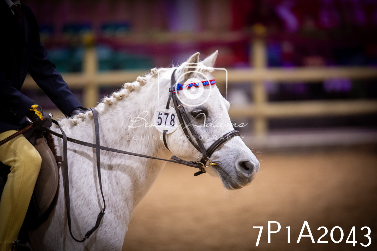 JHOYS 2025 - Ridden Showing - 28th September - pt1