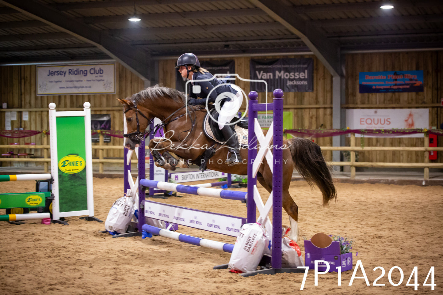 JHOYS 2025 - Show Jumping - 19th September pt2