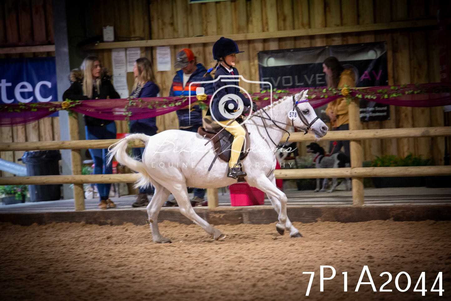JHOYS 2025 - Ridden Showing - 28th September - pt1