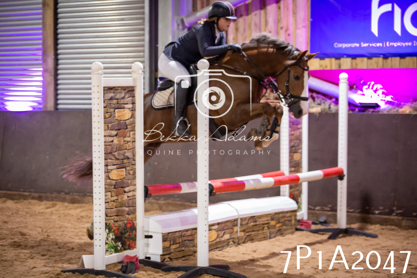 JHOYS 2025 - Show Jumping - 19th September pt2