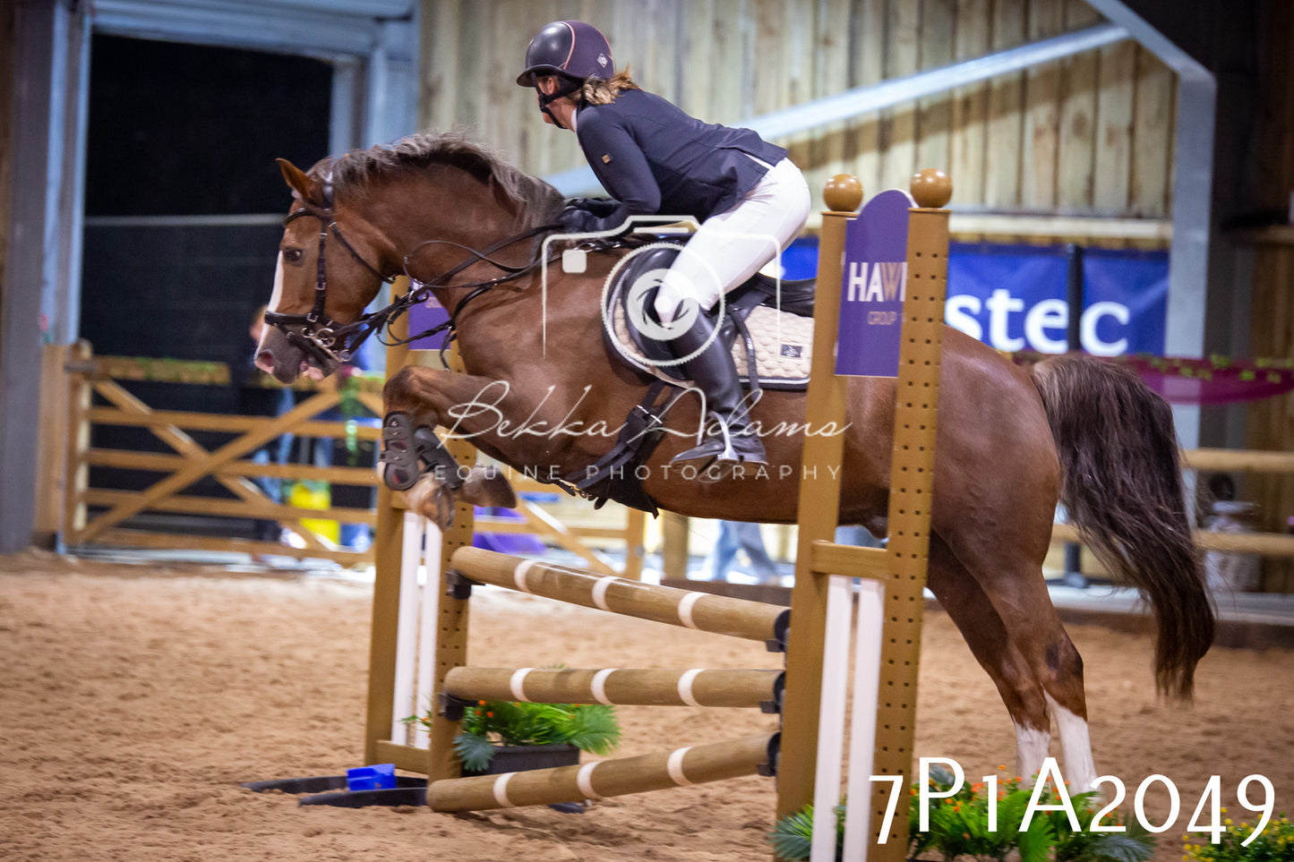 JHOYS 2025 - Show Jumping - 19th September pt2