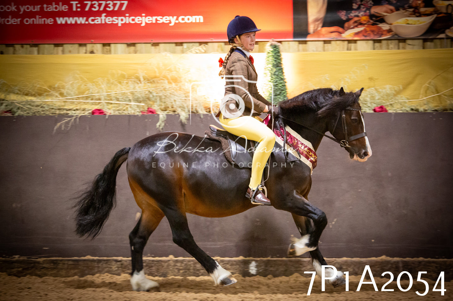 JHOYS 2025 - Ridden Showing - 28th September - pt1