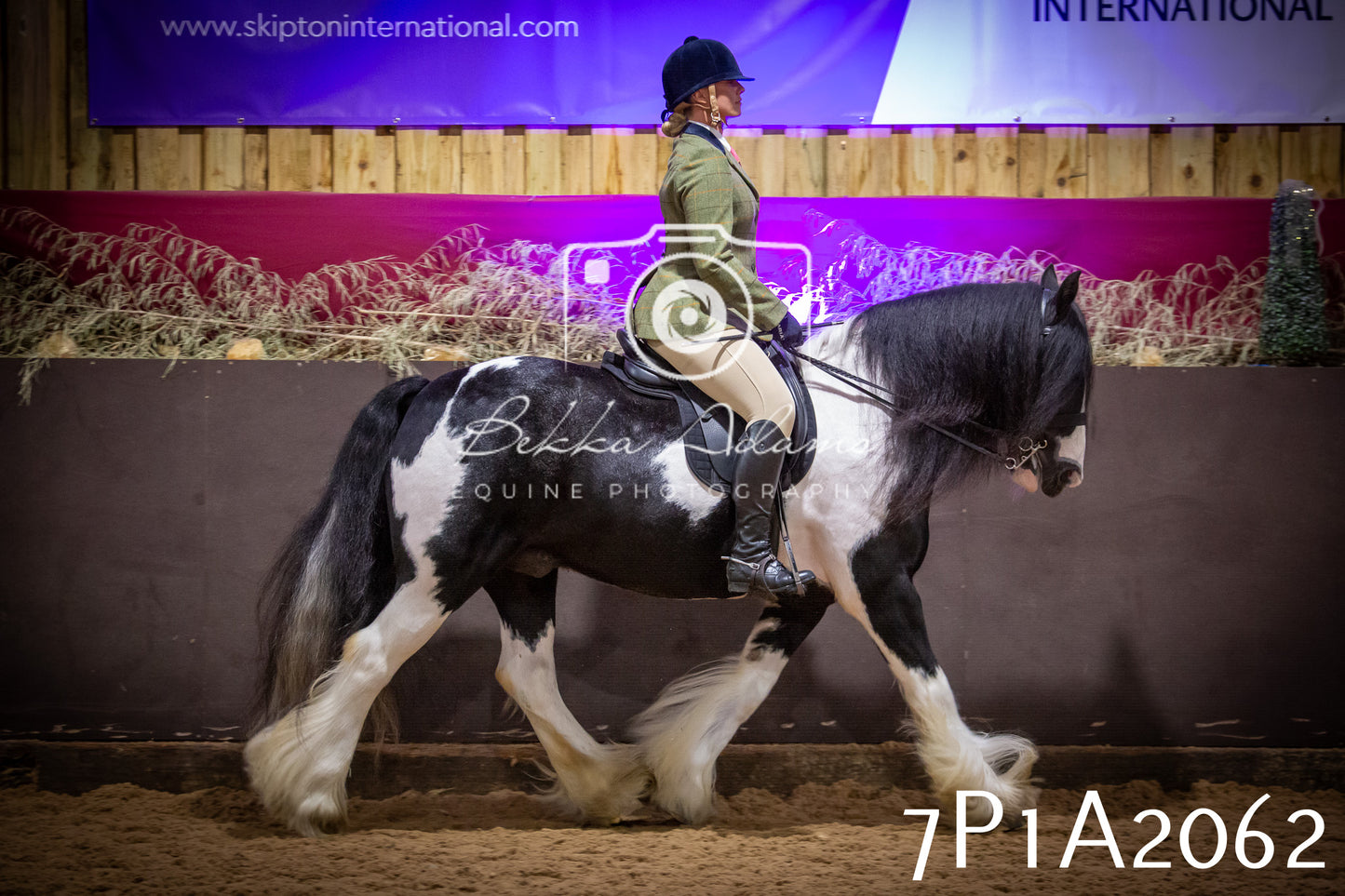 JHOYS 2025 - Ridden Showing - 28th September - pt1