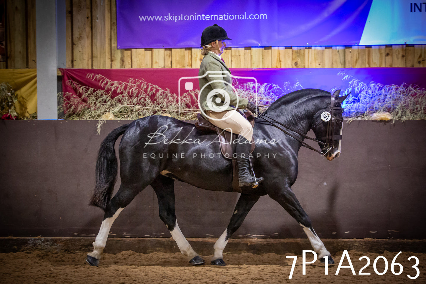 JHOYS 2025 - Ridden Showing - 28th September - pt1