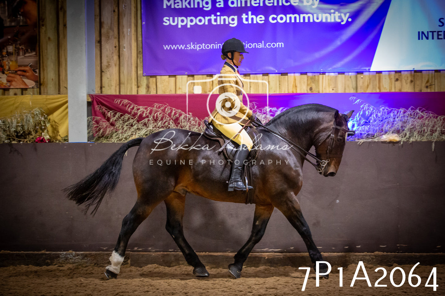 JHOYS 2025 - Ridden Showing - 28th September - pt1