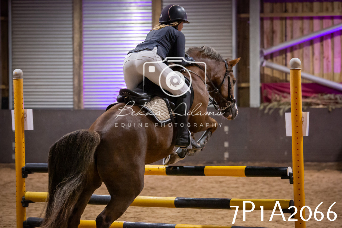 JHOYS 2025 - Show Jumping - 19th September pt2