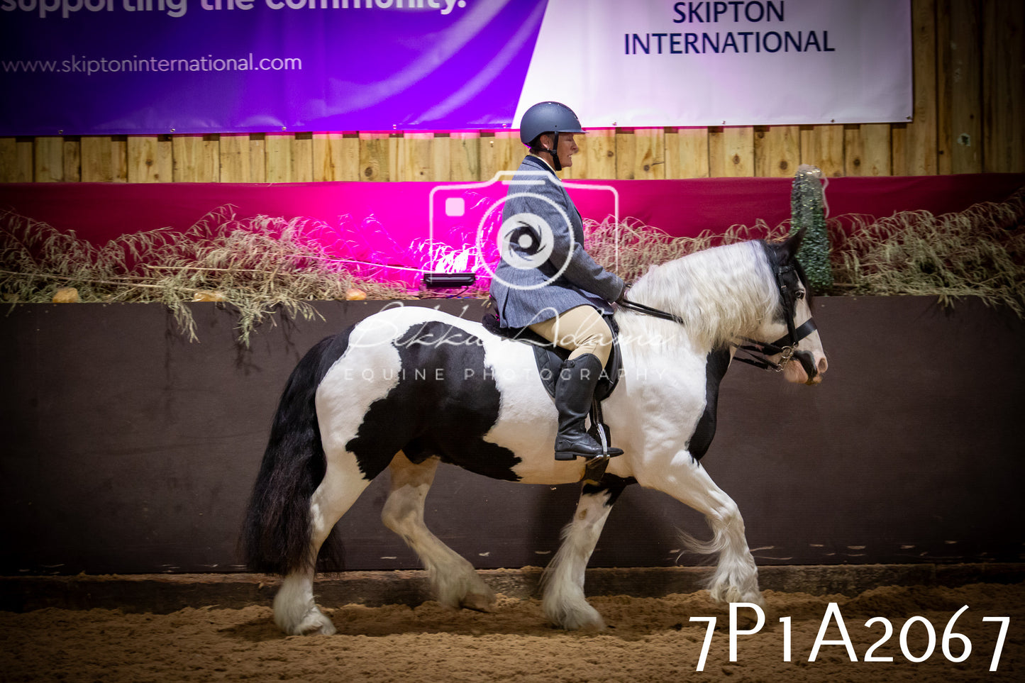 JHOYS 2025 - Ridden Showing - 28th September - pt1