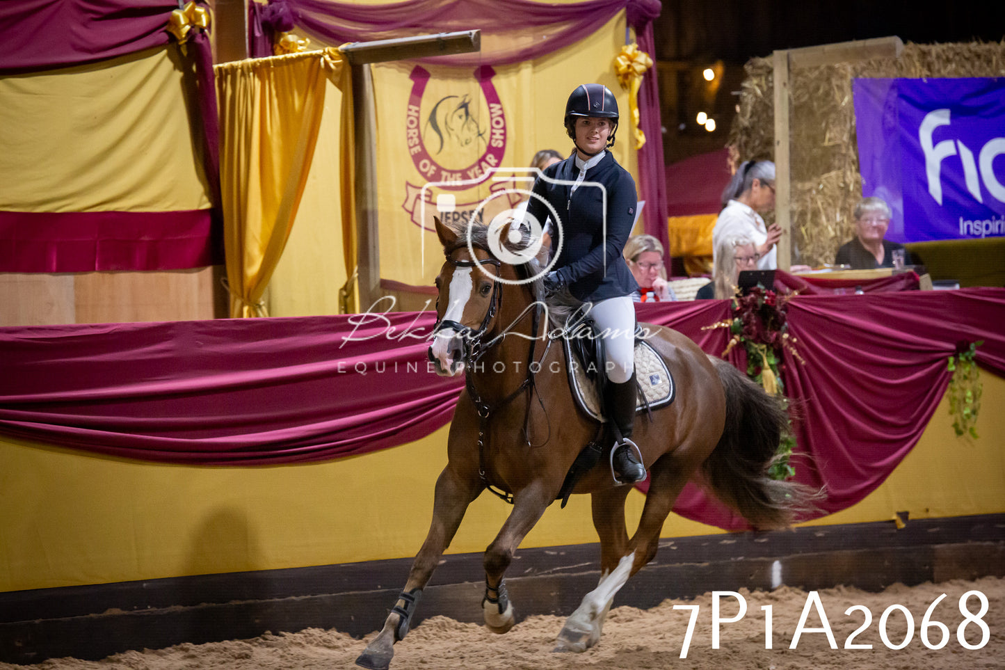 JHOYS 2025 - Show Jumping - 19th September pt2