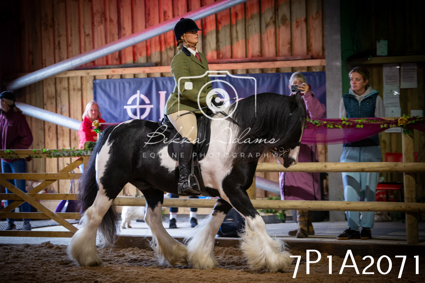 JHOYS 2025 - Ridden Showing - 28th September - pt1