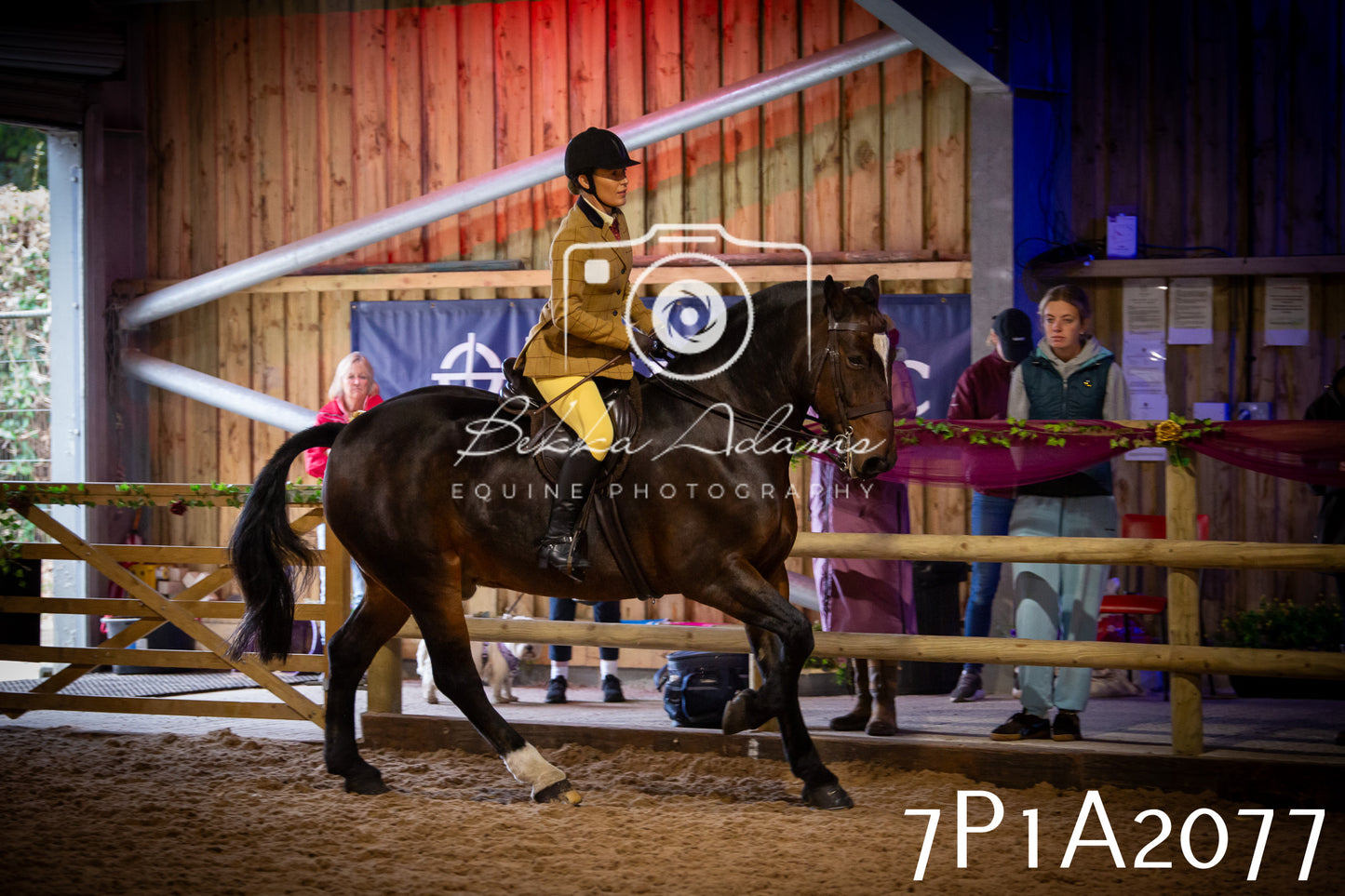 JHOYS 2025 - Ridden Showing - 28th September - pt1