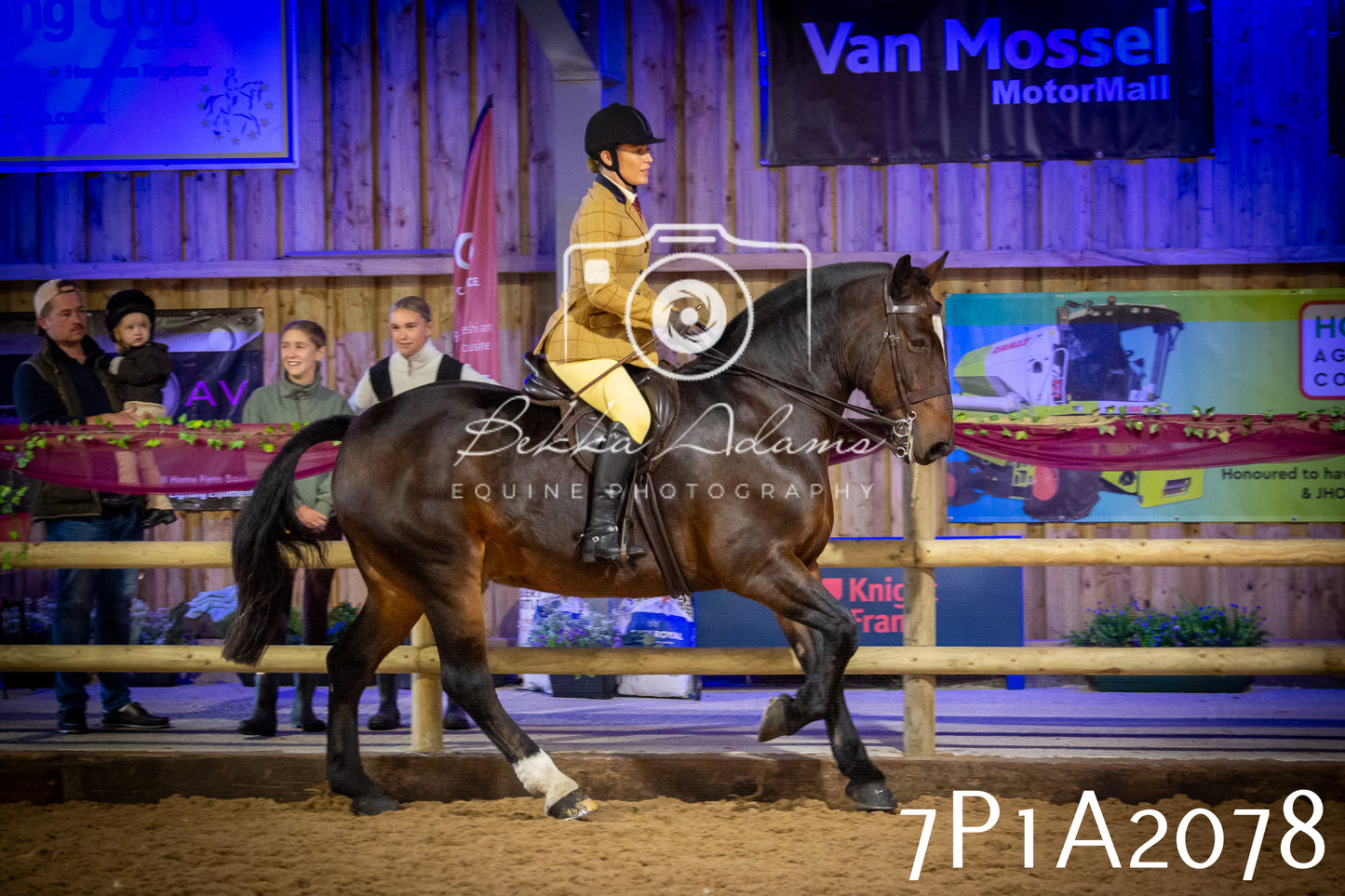 JHOYS 2025 - Ridden Showing - 28th September - pt1