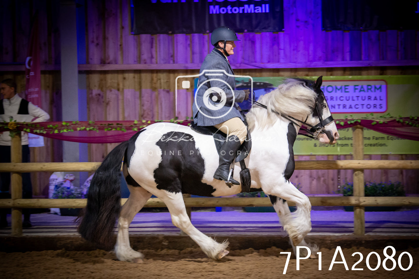 JHOYS 2025 - Ridden Showing - 28th September - pt1
