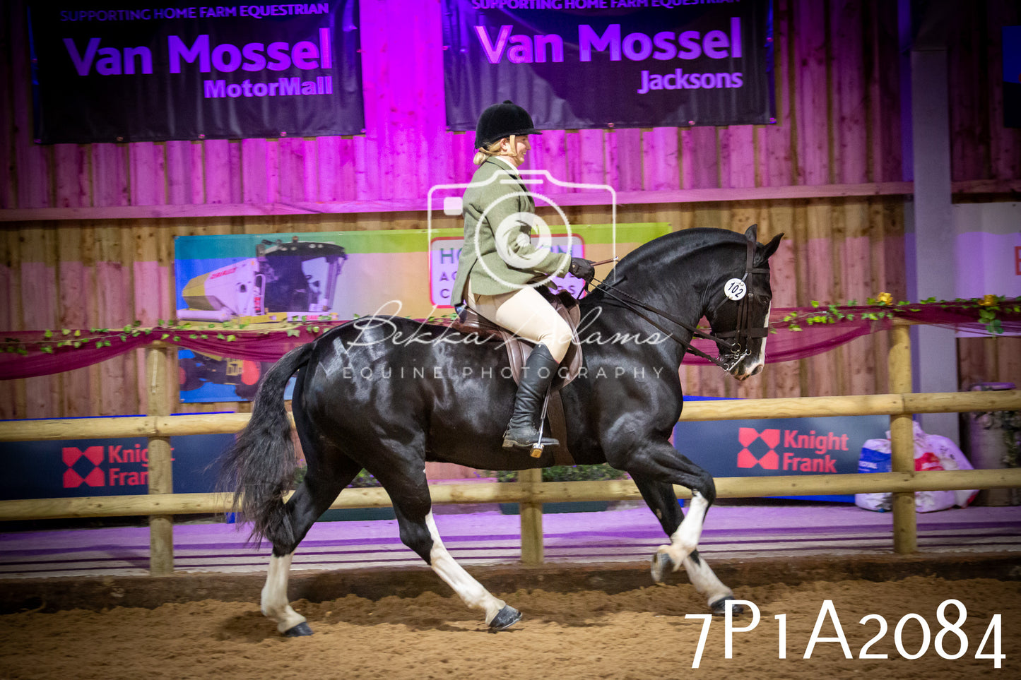 JHOYS 2025 - Ridden Showing - 28th September - pt1