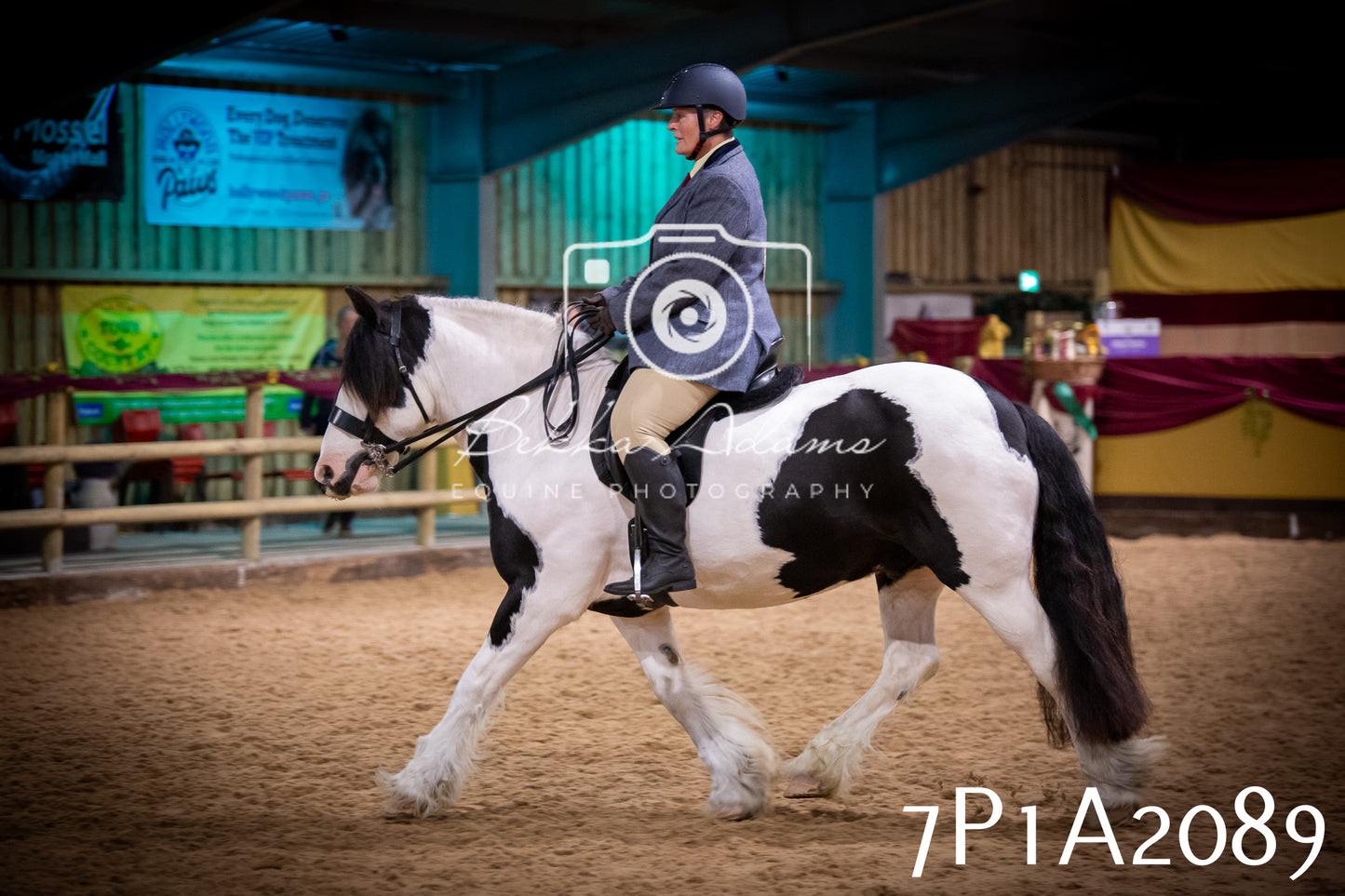 JHOYS 2025 - Ridden Showing - 28th September - pt1