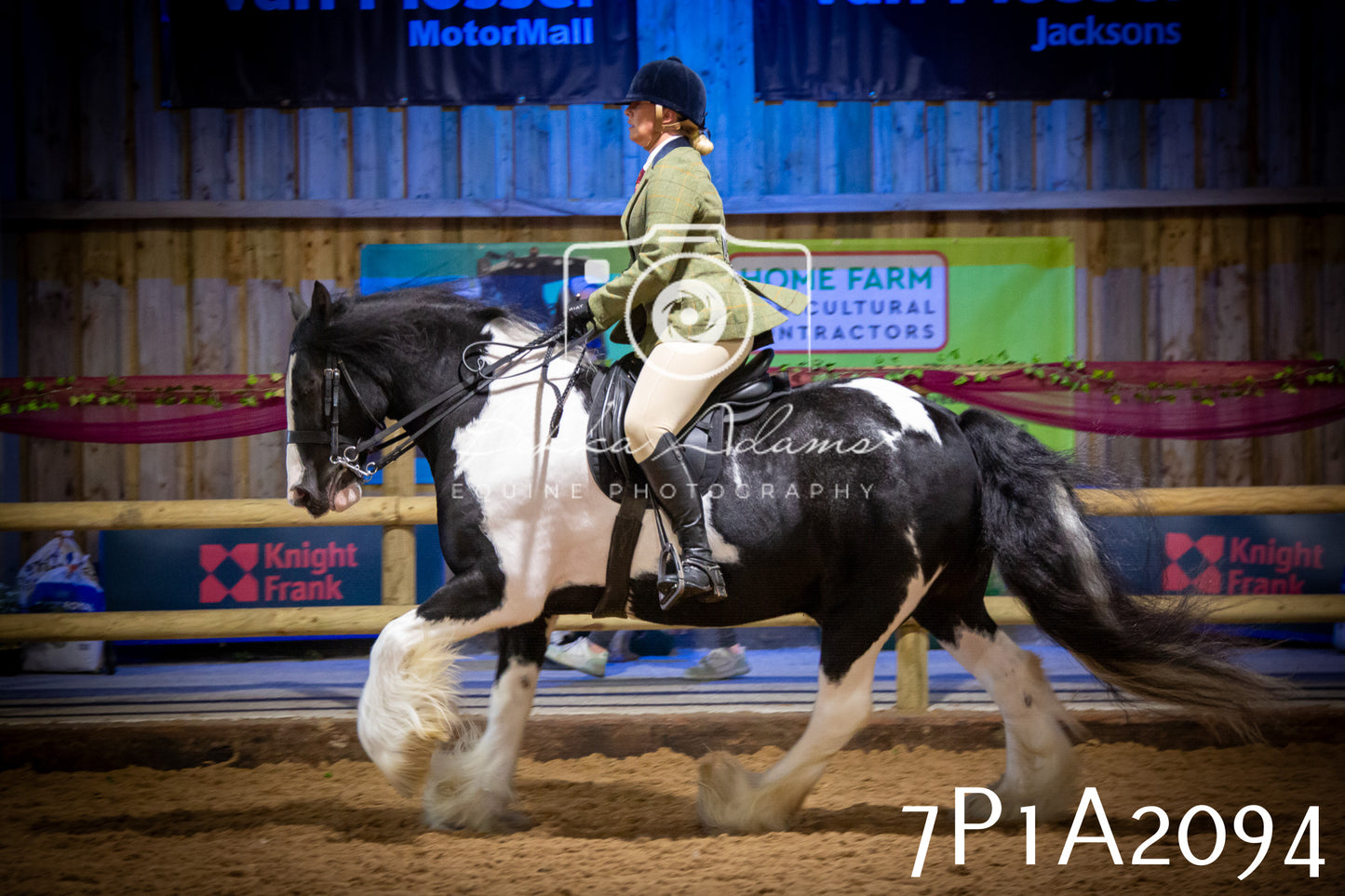 JHOYS 2025 - Ridden Showing - 28th September - pt1
