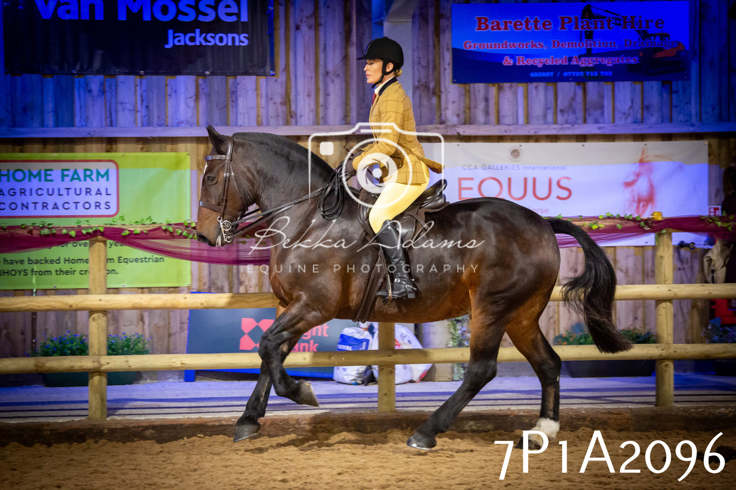 JHOYS 2025 - Ridden Showing - 28th September - pt1