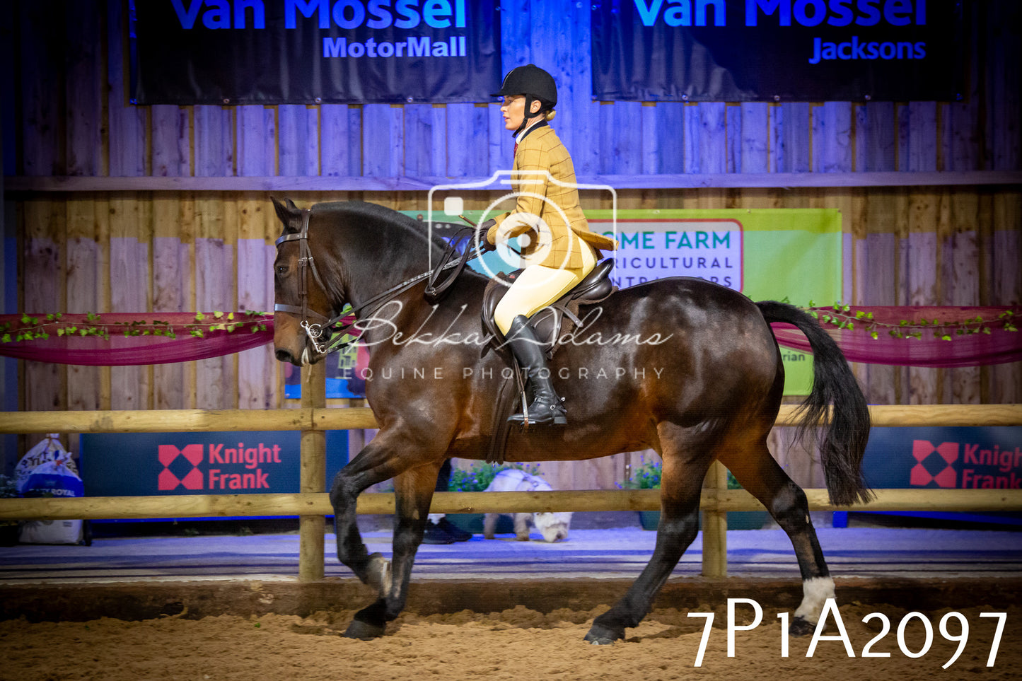 JHOYS 2025 - Ridden Showing - 28th September - pt1