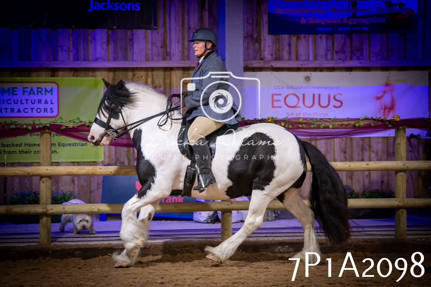 JHOYS 2025 - Ridden Showing - 28th September - pt1