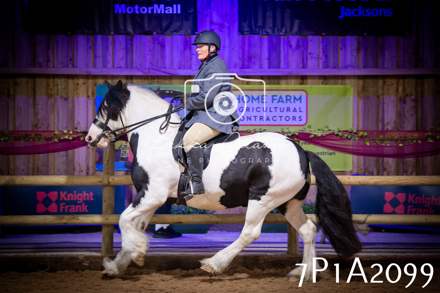 JHOYS 2025 - Ridden Showing - 28th September - pt1