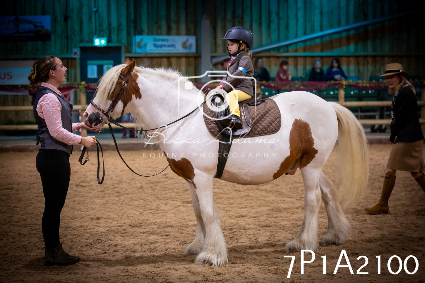JHOYS 2025 - Ridden Showing - 28th September - pt1