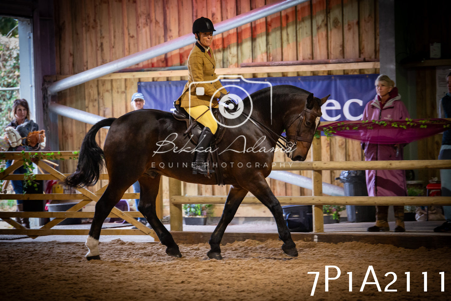JHOYS 2025 - Ridden Showing - 28th September - pt1