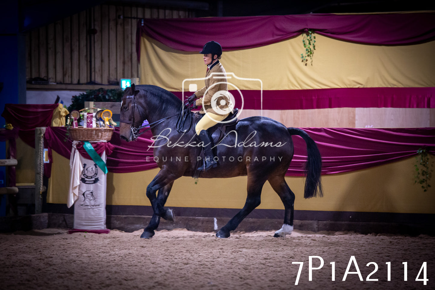 JHOYS 2025 - Ridden Showing - 28th September - pt1