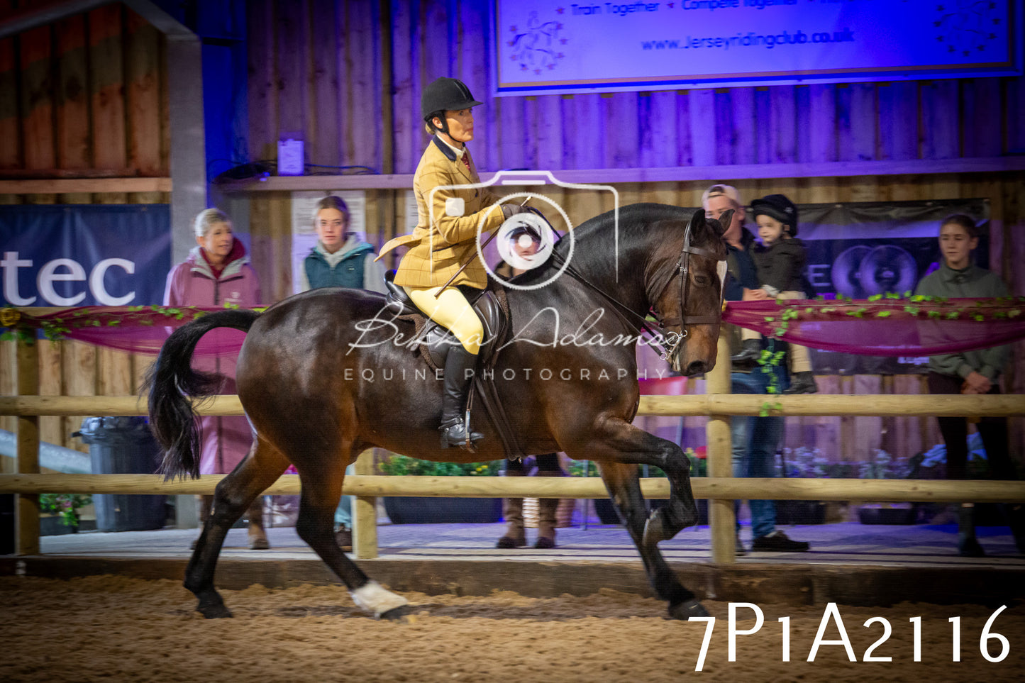 JHOYS 2025 - Ridden Showing - 28th September - pt1
