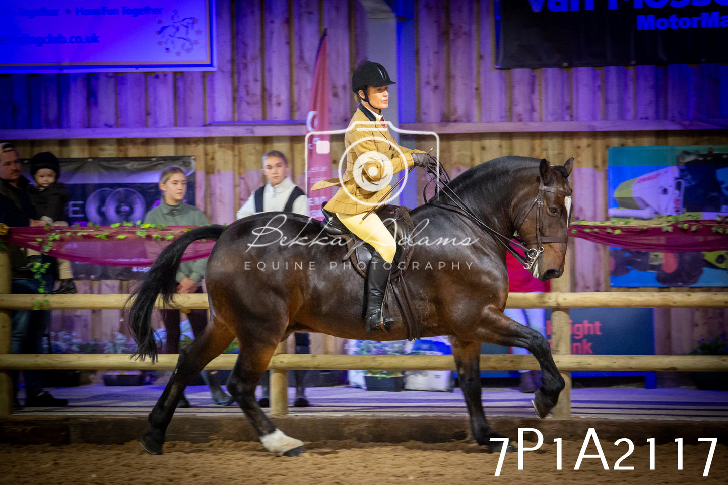 JHOYS 2025 - Ridden Showing - 28th September - pt1
