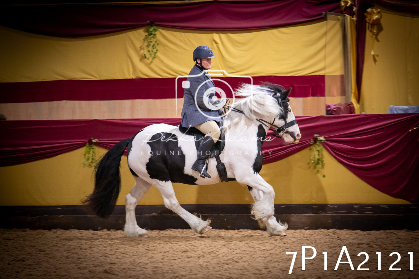 JHOYS 2025 - Ridden Showing - 28th September - pt1