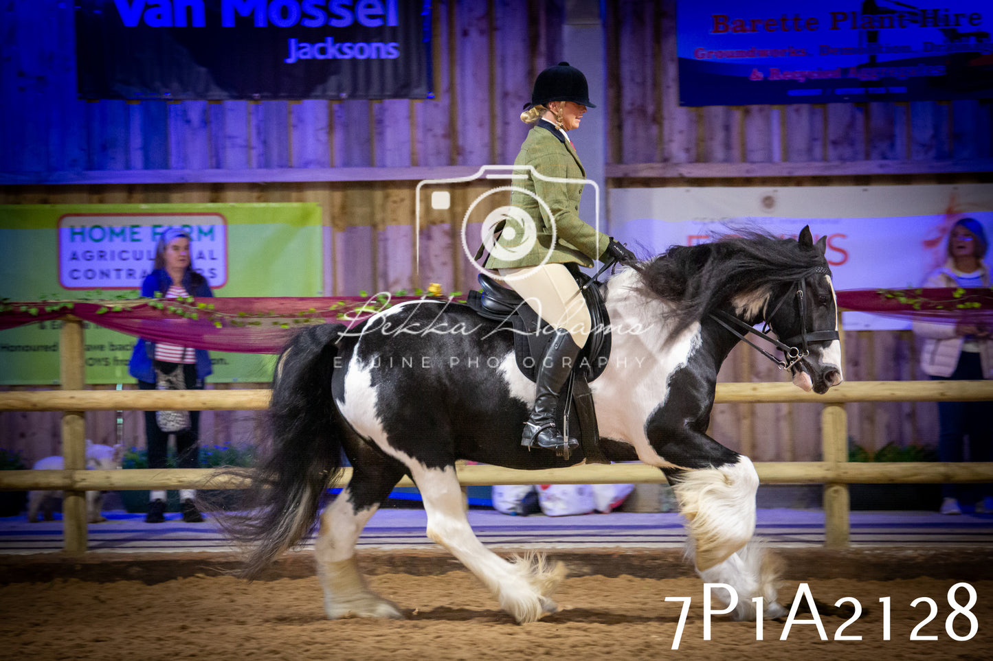JHOYS 2025 - Ridden Showing - 28th September - pt1