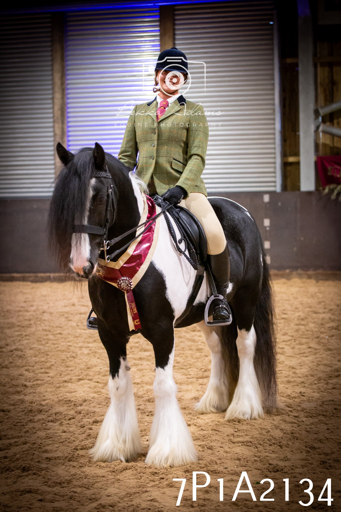 JHOYS 2025 - Ridden Showing - 28th September - pt1