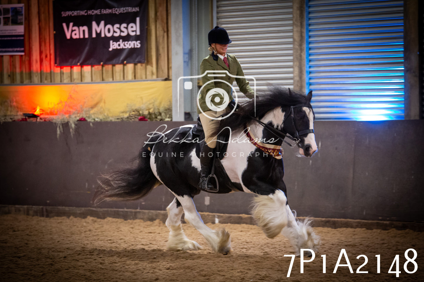 JHOYS 2025 - Ridden Showing - 28th September - pt1