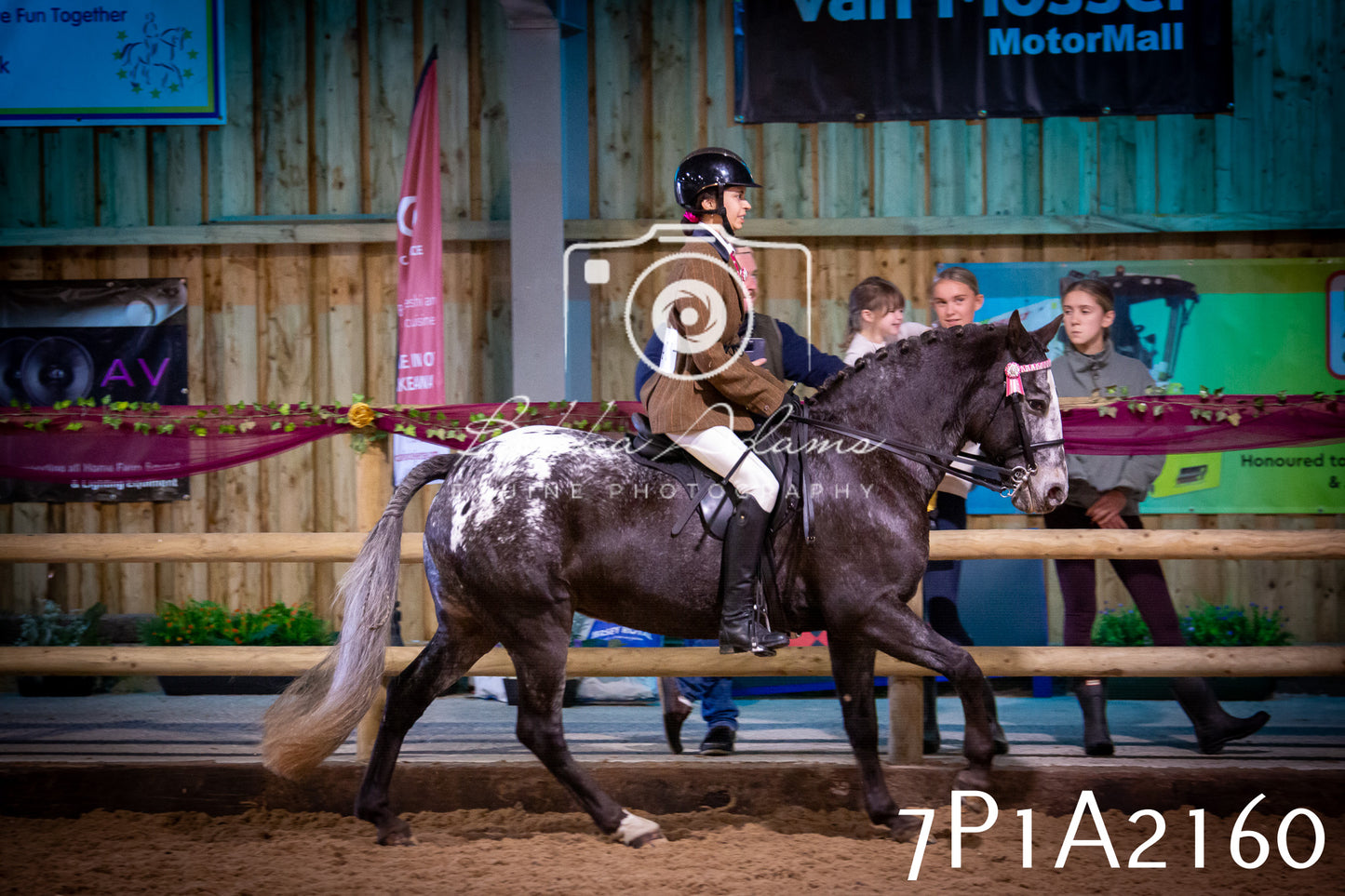 JHOYS 2025 - Ridden Showing - 28th September - pt1