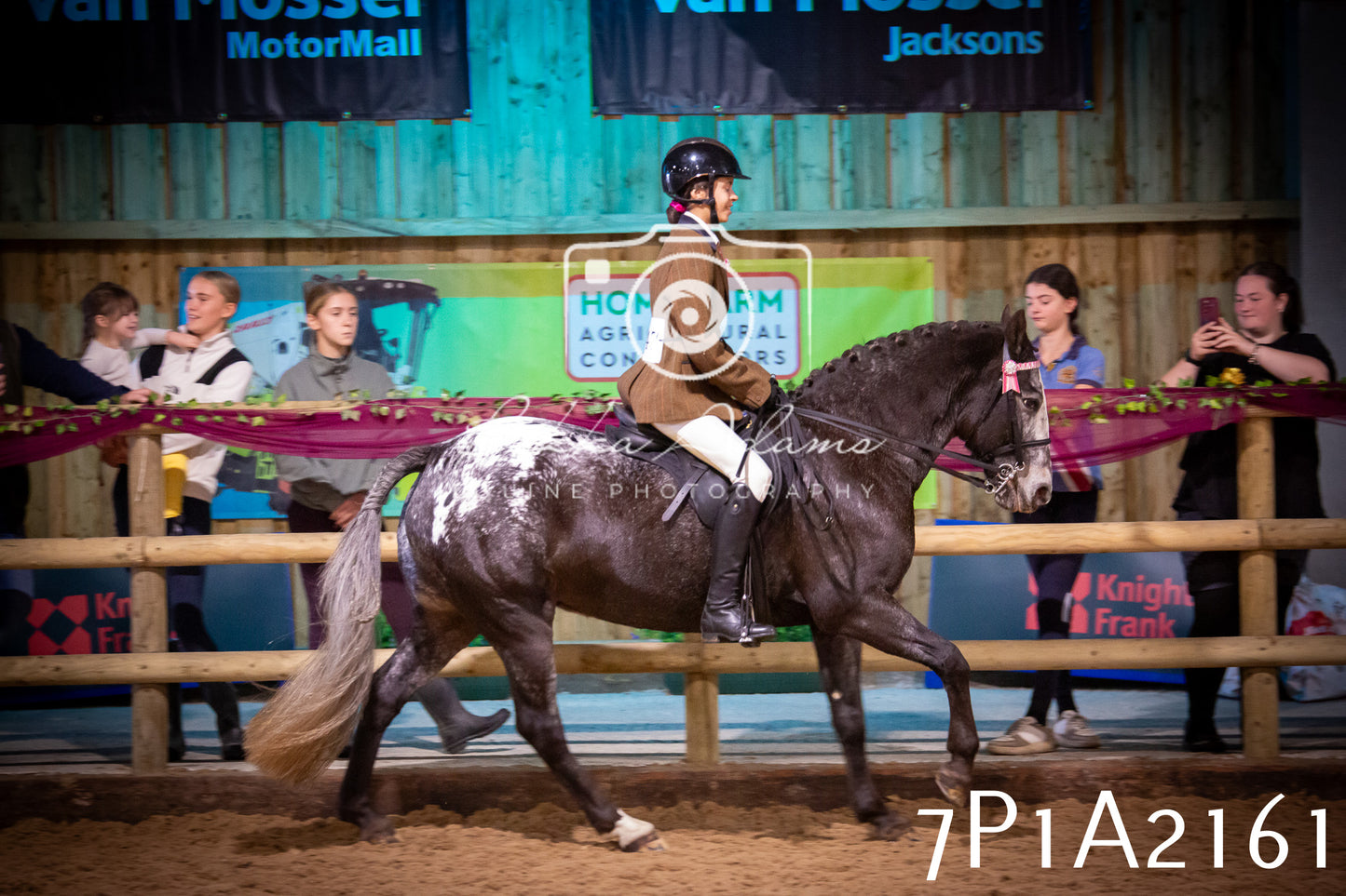 JHOYS 2025 - Ridden Showing - 28th September - pt1