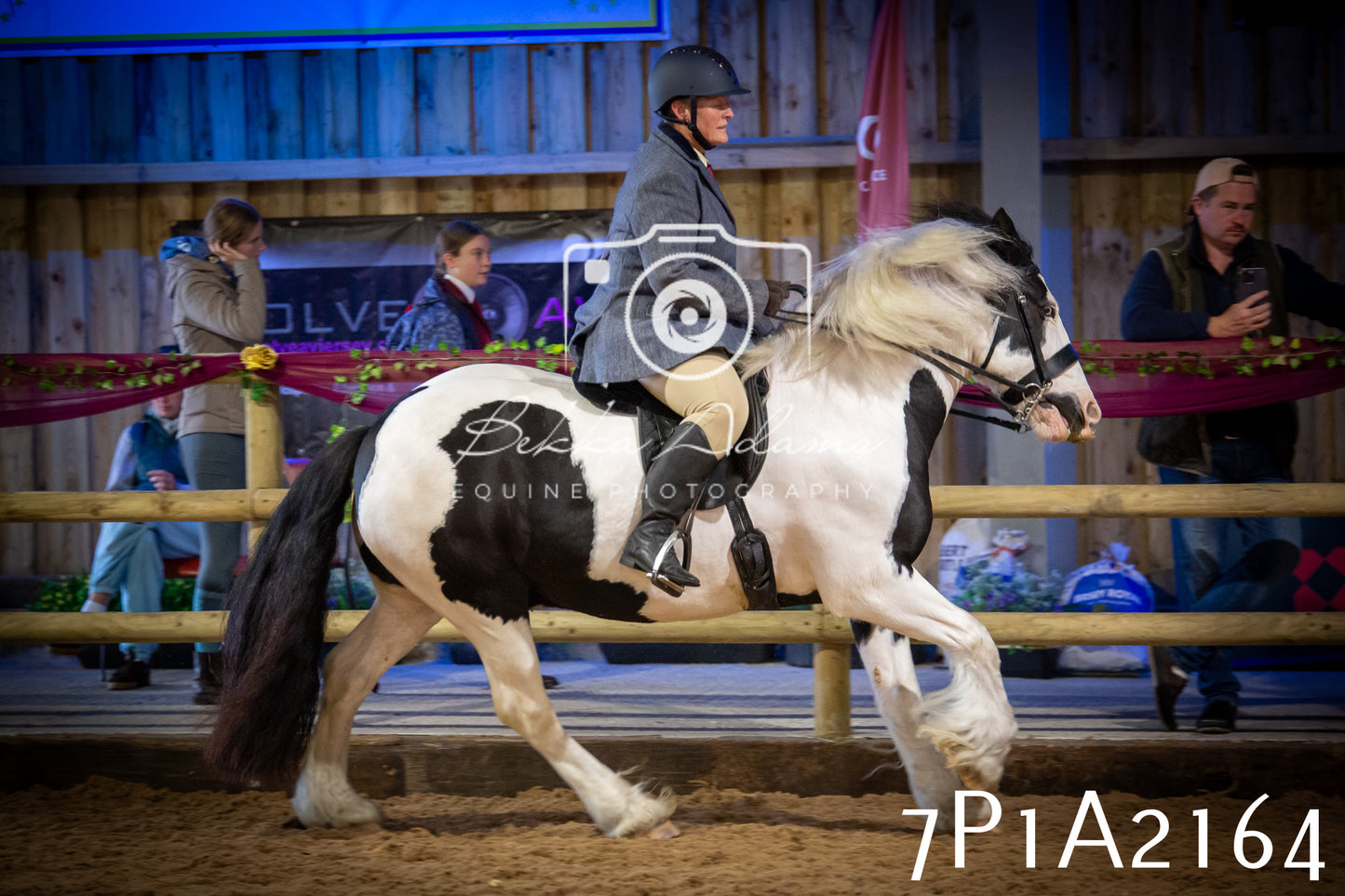 JHOYS 2025 - Ridden Showing - 28th September - pt1