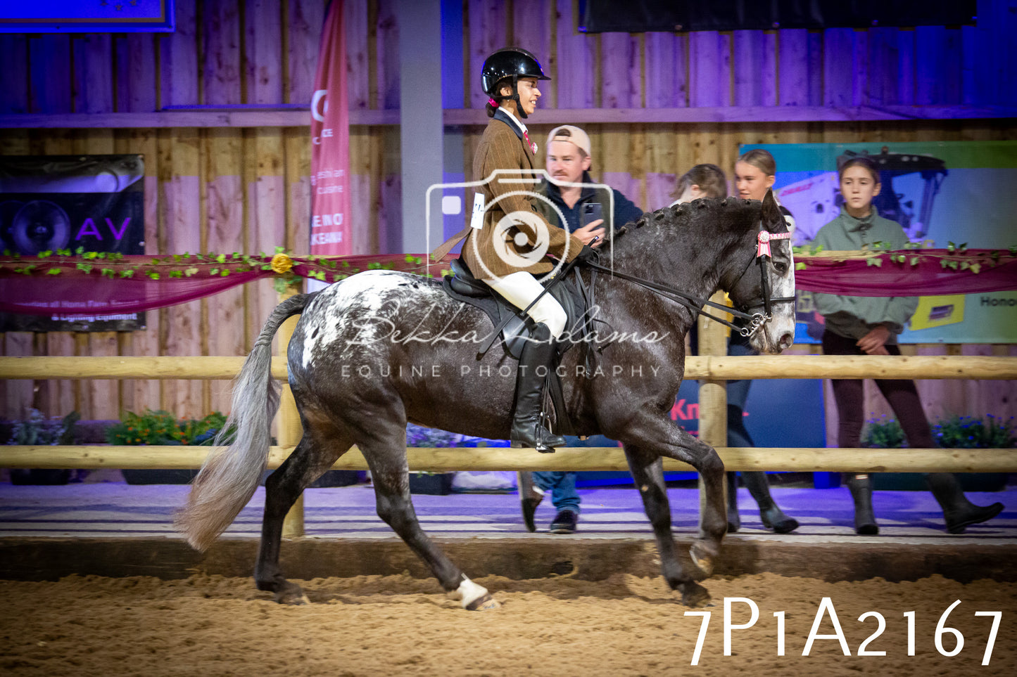 JHOYS 2025 - Ridden Showing - 28th September - pt1