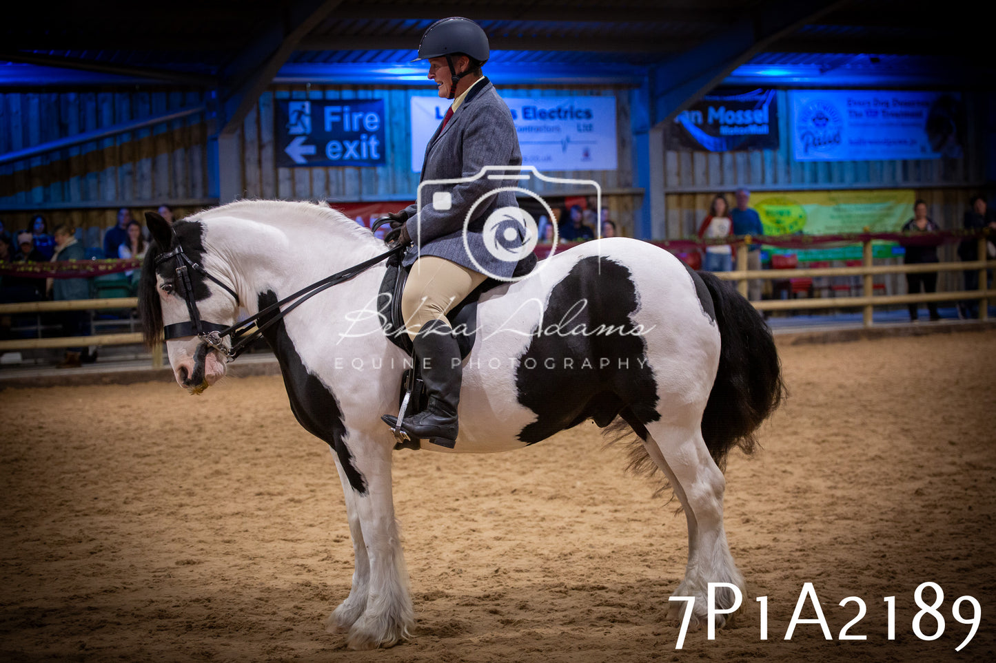 JHOYS 2025 - Ridden Showing - 28th September - pt1