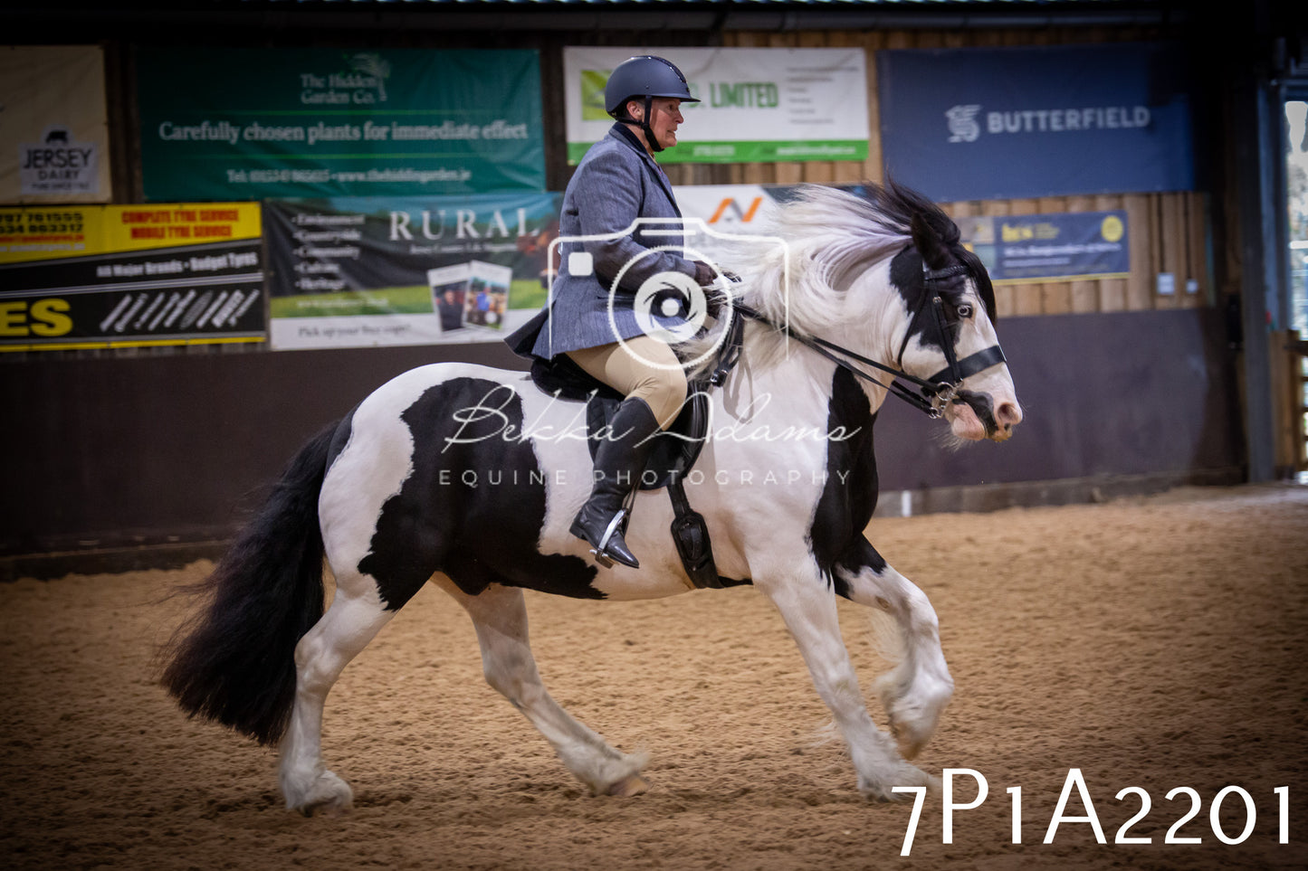 JHOYS 2025 - Ridden Showing - 28th September - pt1